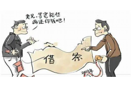 安徽为什么选择专业追讨公司来处理您的债务纠纷？